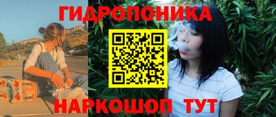 тгк Лесосибирск