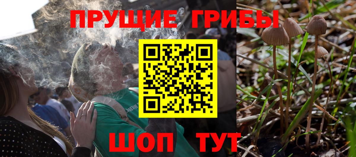Урай  Галлюциногенные грибы ЛСД  Вход с VPN 